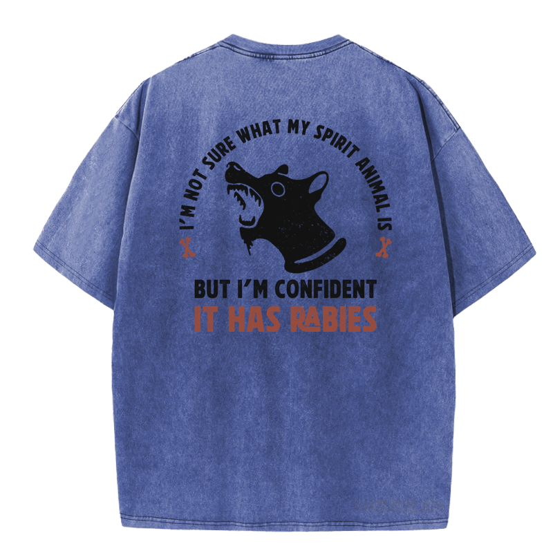 MATURELION I'M NOT SURE WHAT MY SPIRIT ANIMAL IS BUT I'M CONFIDENT IT HAS RABIES  DTG PRINTING WASHED COTTON T-SHIRT