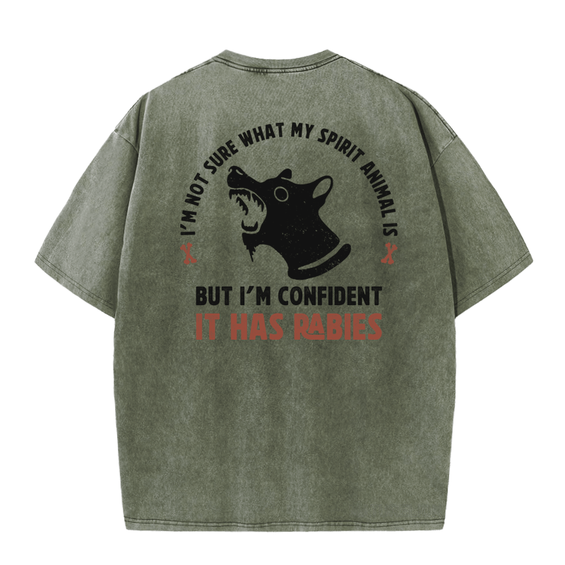 MATURELION I'M NOT SURE WHAT MY SPIRIT ANIMAL IS BUT I'M CONFIDENT IT HAS RABIES  DTG PRINTING WASHED COTTON T-SHIRT