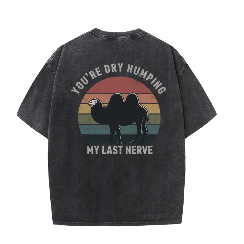 MATURELION YOU'RE DRY HUMPING MY LAST NERVE DTG PRINTING WASHED COTTON T-SHIRT