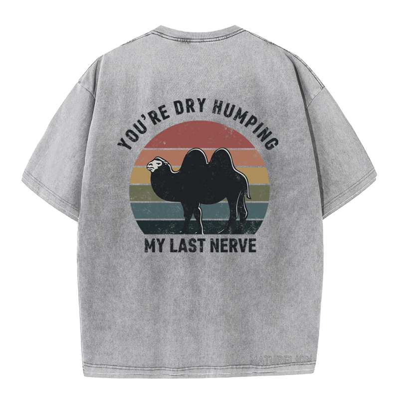 MATURELION YOU'RE DRY HUMPING MY LAST NERVE DTG PRINTING WASHED COTTON T-SHIRT