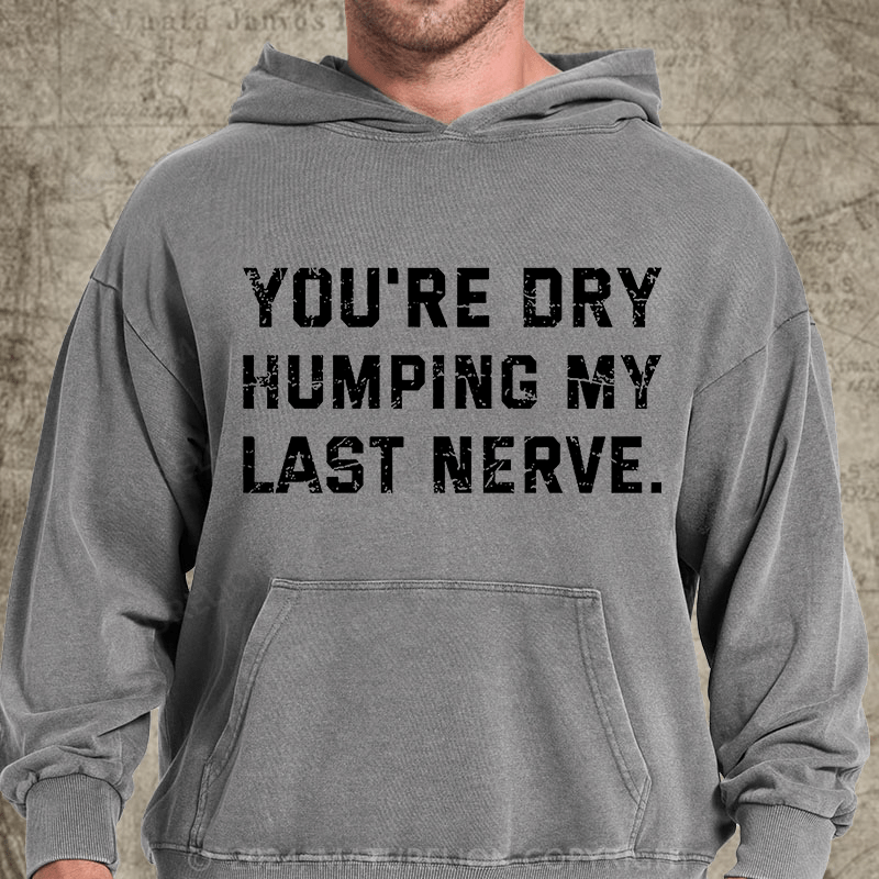 Maturelion You're Dry Humping My Last Nerve DTG Printing Washed Hoodie