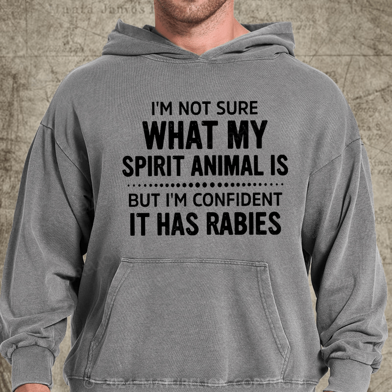 Maturelion I'm Not Sure What My Spirit Animal Is But I'm Confident It Has Rabies DTG Printing Washed Hoodie