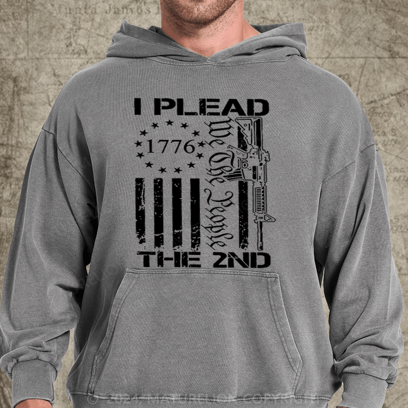 Maturelion I Plead The 2nd Amendment We The People AR15 Pro Gun DTG Printing Washed Hoodie