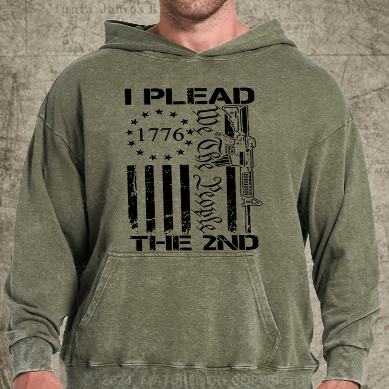 Maturelion I Plead The 2nd Amendment We The People AR15 Pro Gun DTG Printing Washed Hoodie