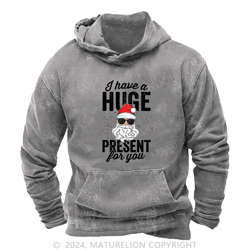 Maturelion Men's Hoodie I Have A Huge Present For You DTG Printing Washed Hoodie