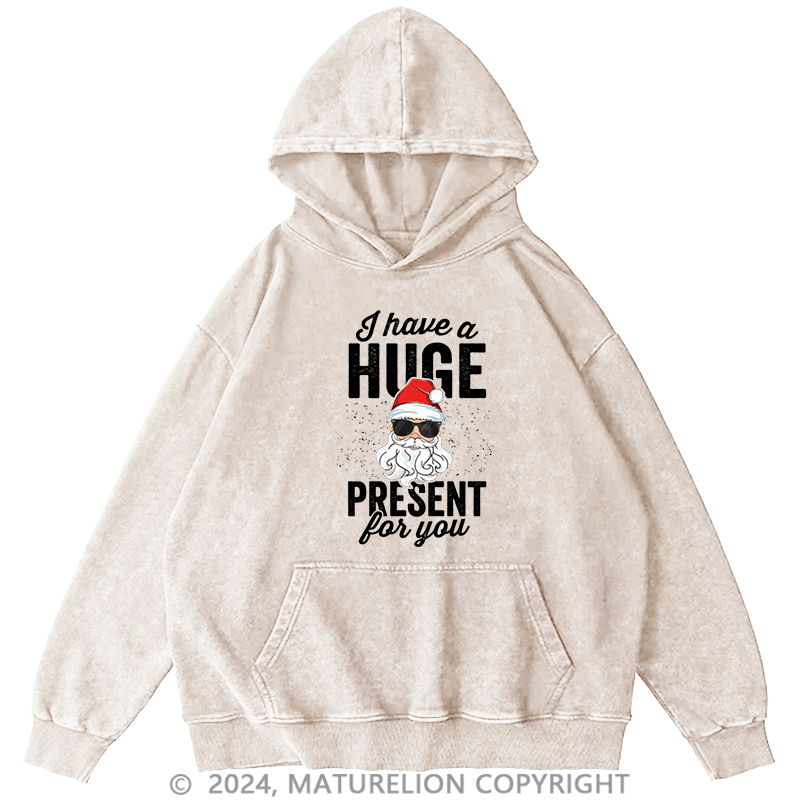 Maturelion Men's Hoodie I Have A Huge Present For You DTG Printing Washed Hoodie