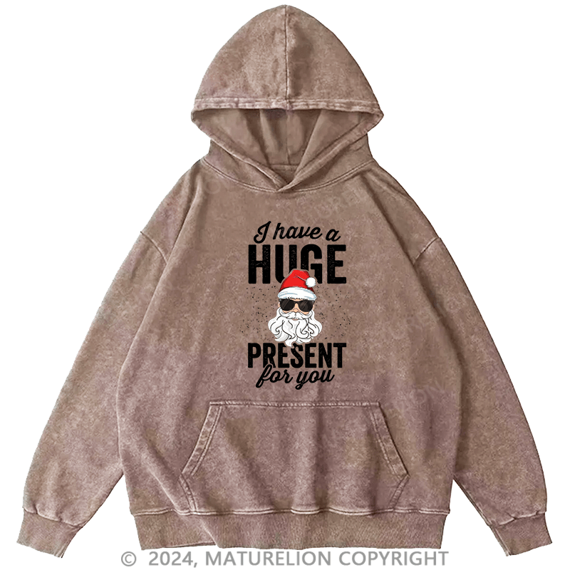 Maturelion Men's Hoodie I Have A Huge Present For You DTG Printing Washed Hoodie