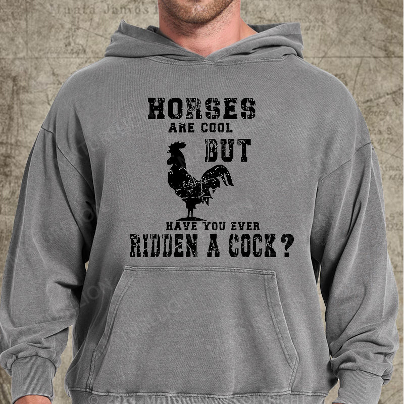 Maturelion Horses Are Cool But Have You Ever Ridden A Cock DTG Printing Washed Hoodie