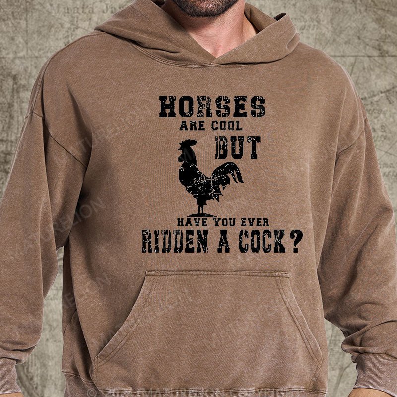 Maturelion Horses Are Cool But Have You Ever Ridden A Cock DTG Printing Washed Hoodie