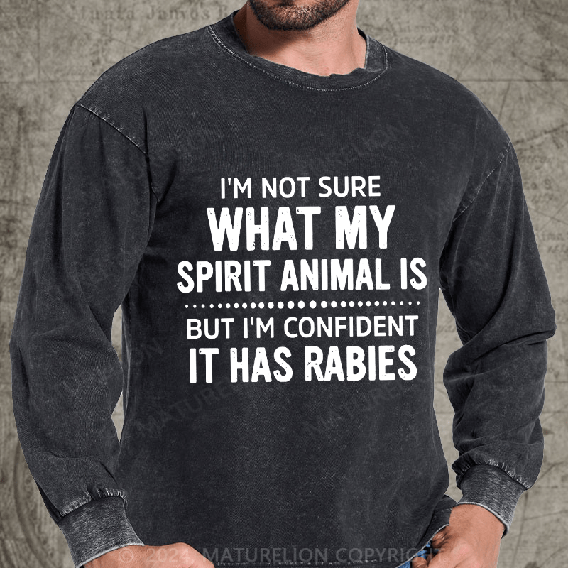 Maturelion I'm Not Sure What My Spirit Animal Is But I'm Confident It Has Rabies DTG Printing Washed Long Sleeve Shirt