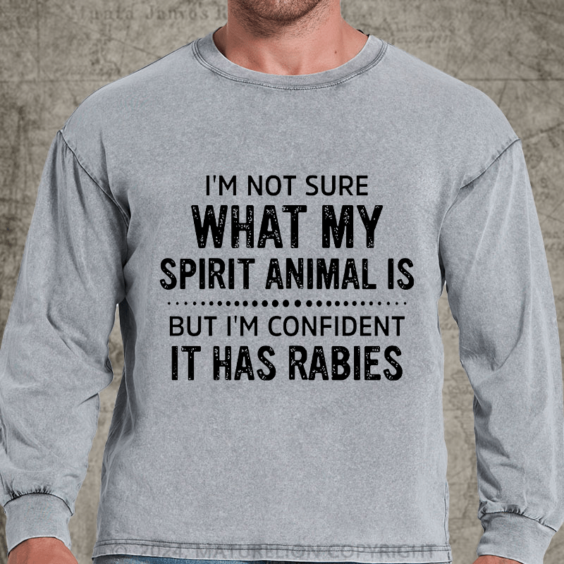 Maturelion I'm Not Sure What My Spirit Animal Is But I'm Confident It Has Rabies DTG Printing Washed Long Sleeve Shirt