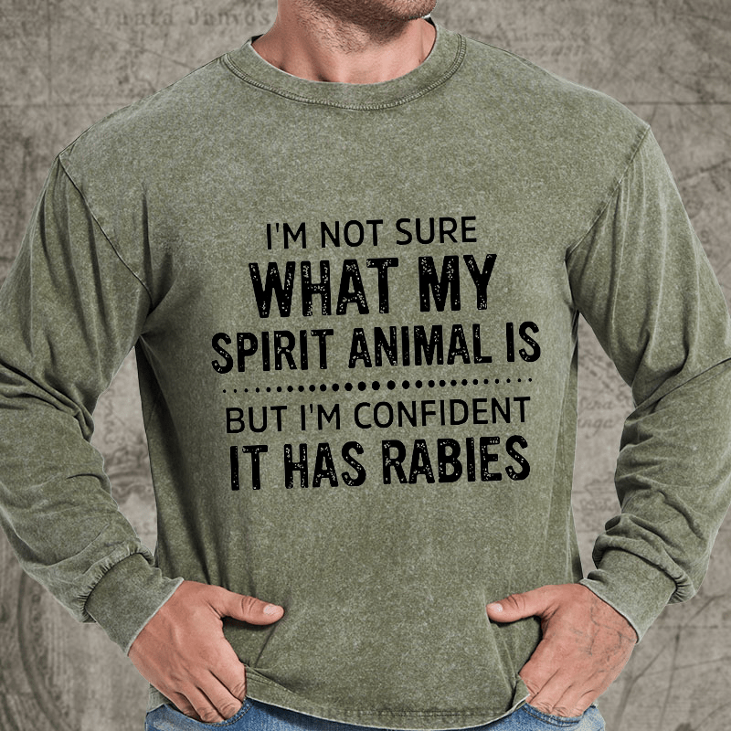 Maturelion I'm Not Sure What My Spirit Animal Is But I'm Confident It Has Rabies DTG Printing Washed Long Sleeve Shirt