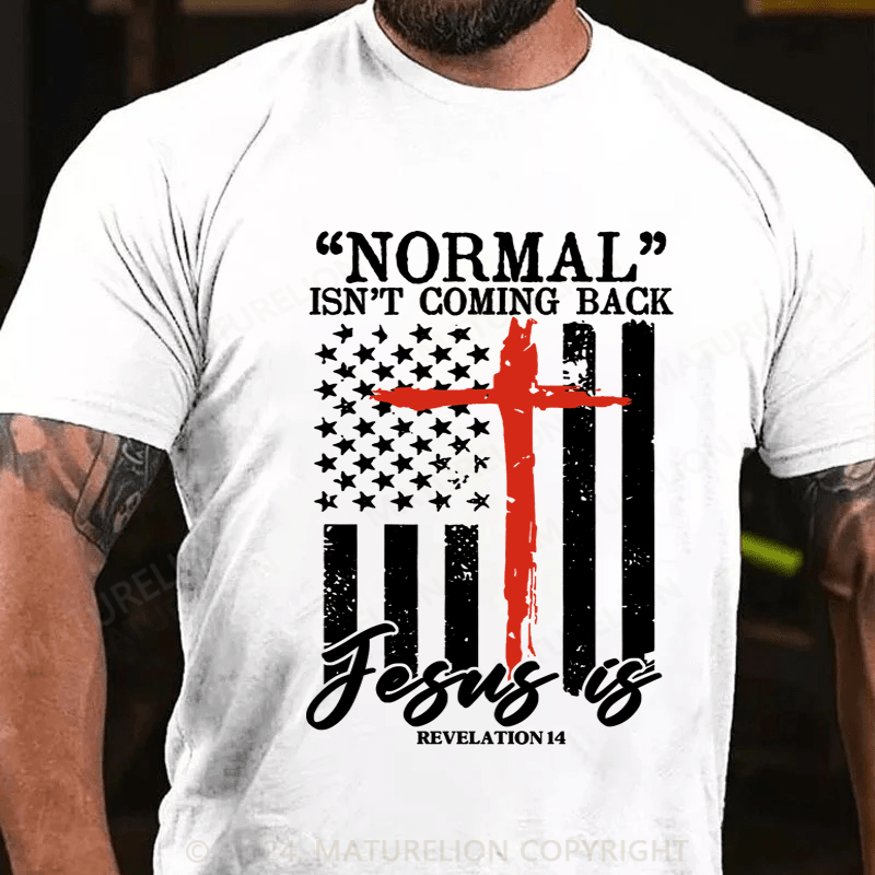 Maturelion Normal Isn't Coming Back Jesus Is Revelation 14 Usa Flag T-Shirt