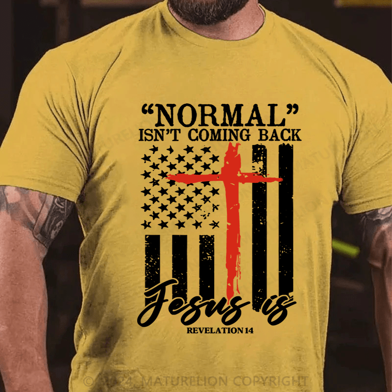 Maturelion Normal Isn't Coming Back Jesus Is Revelation 14 Usa Flag T-Shirt