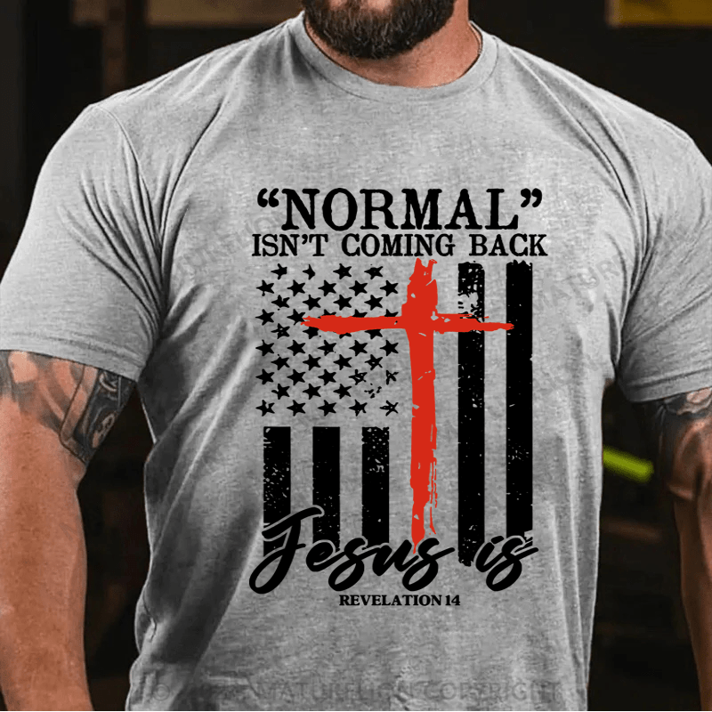 Maturelion Normal Isn't Coming Back Jesus Is Revelation 14 Usa Flag T-Shirt