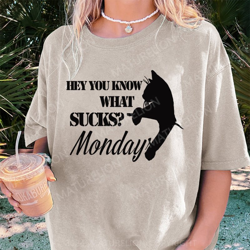 Maturelion Hey You Know What SucksMonday DTG Printing Washed Cotton T-Shirt