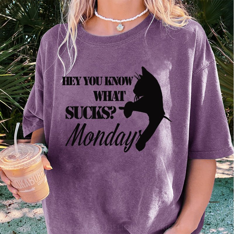 Maturelion Hey You Know What SucksMonday DTG Printing Washed Cotton T-Shirt