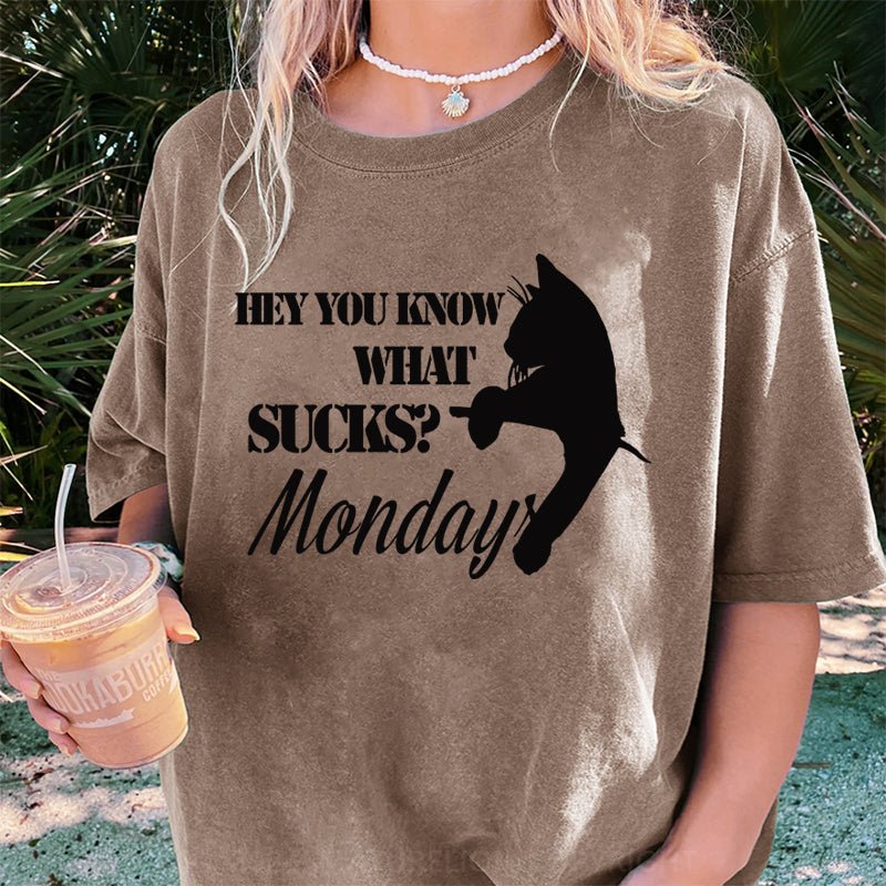 Maturelion Hey You Know What SucksMonday DTG Printing Washed Cotton T-Shirt