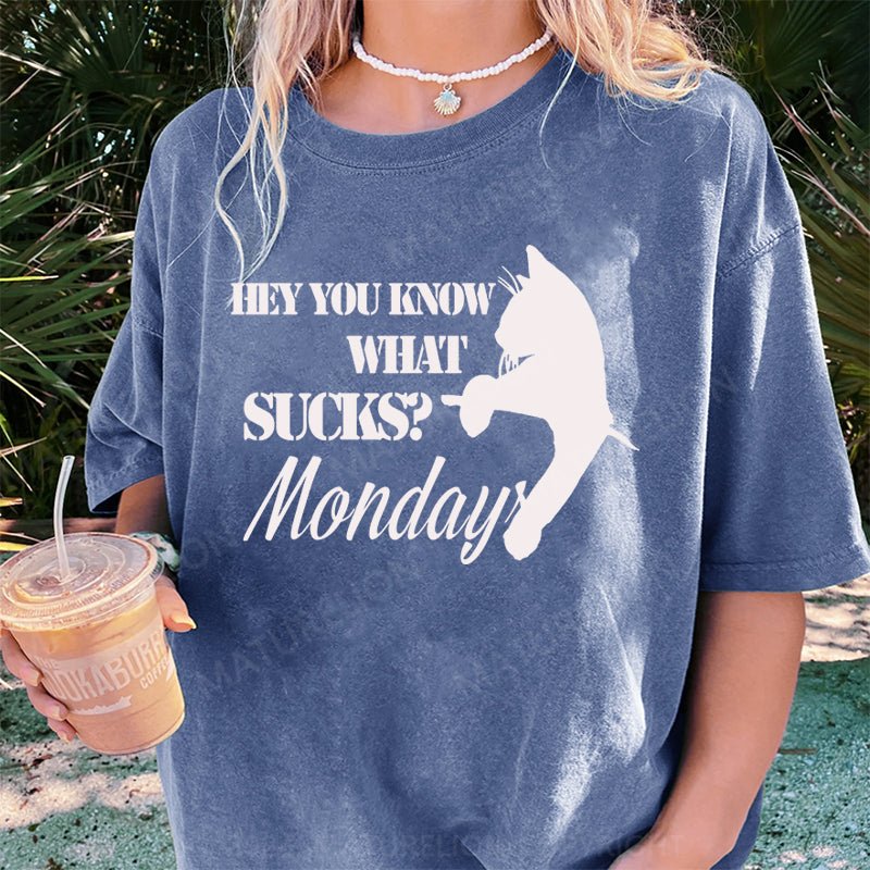 Maturelion Hey You Know What SucksMonday DTG Printing Washed Cotton T-Shirt