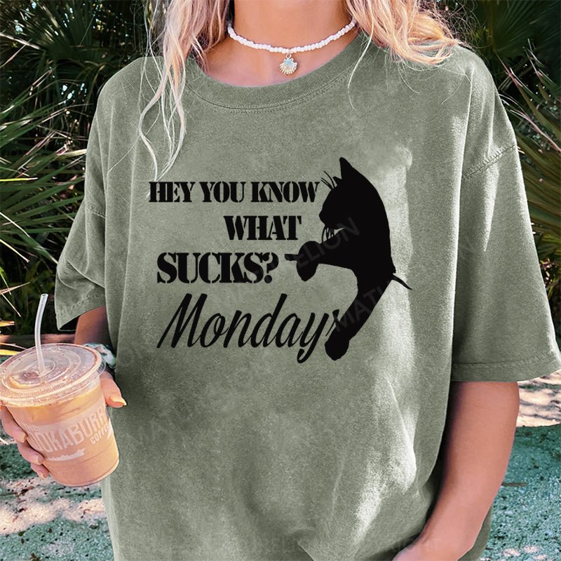 Maturelion Hey You Know What SucksMonday DTG Printing Washed Cotton T-Shirt