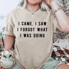Maturelion I Came, I Saw I Forgot What I Was Doing DTG Printing Washed Cotton T-Shirt
