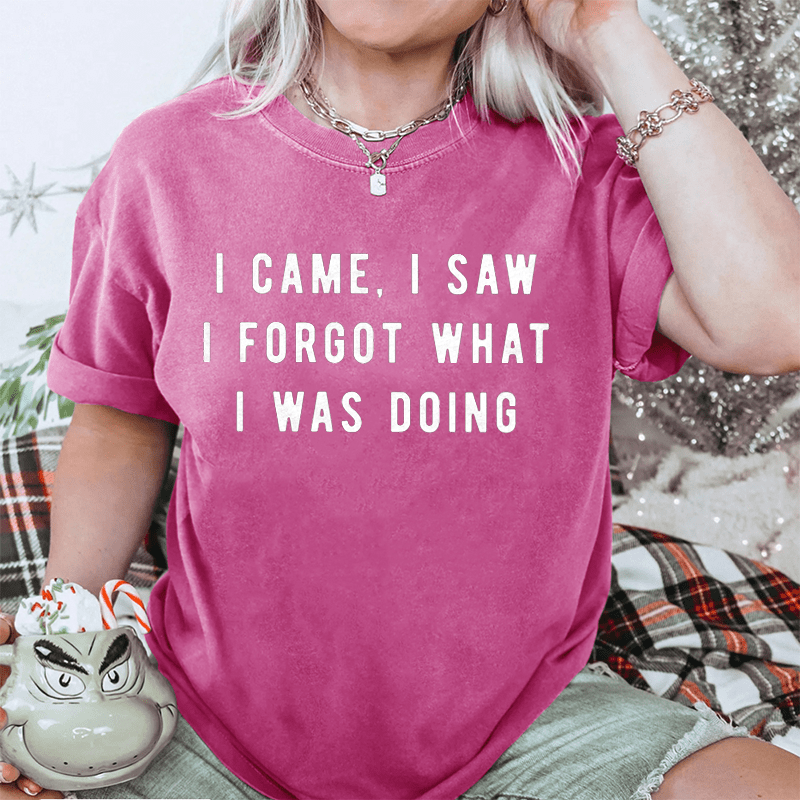 Maturelion I Came, I Saw I Forgot What I Was Doing DTG Printing Washed Cotton T-Shirt