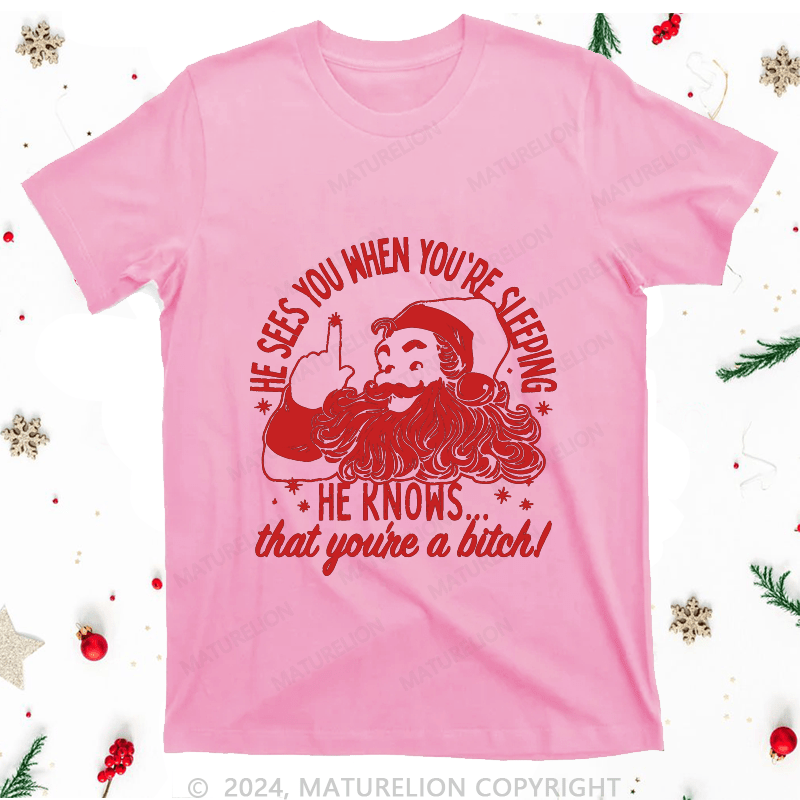 Maturelion Christmas T-Shirt He Sees You When You're Sleeping He Knows That You're A Bitch Women T-Shirt