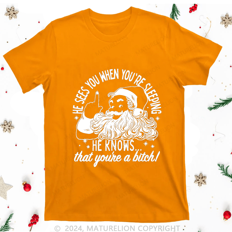 Maturelion Christmas T-Shirt He Sees You When You're Sleeping He Knows That You're A Bitch Women T-Shirt