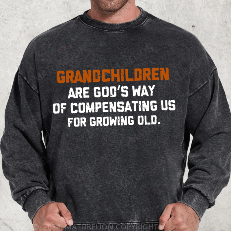 Maturelion Grandchildren Are God’S Way Of Compensating Us For Growing Old Washed Sweatshirt