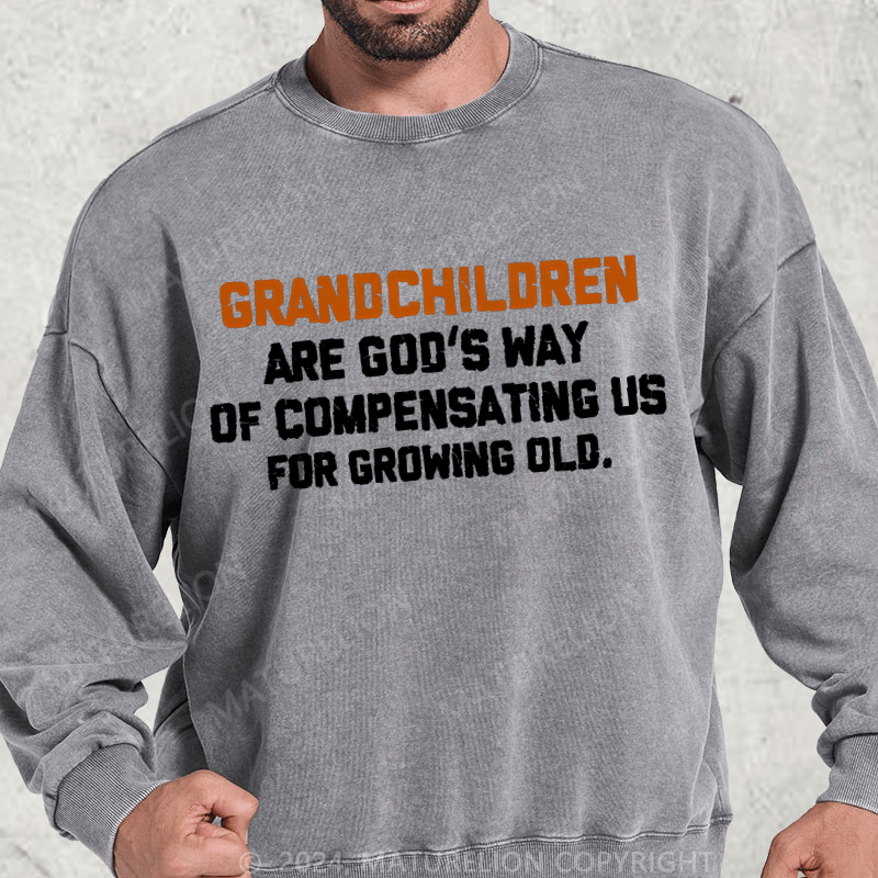 Maturelion Grandchildren Are God’S Way Of Compensating Us For Growing Old Washed Sweatshirt