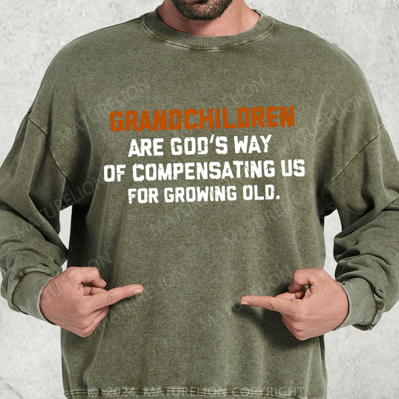 Maturelion Grandchildren Are God’S Way Of Compensating Us For Growing Old Washed Sweatshirt