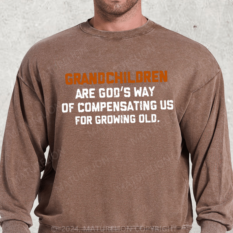 Maturelion Grandchildren Are God’S Way Of Compensating Us For Growing Old Washed Sweatshirt