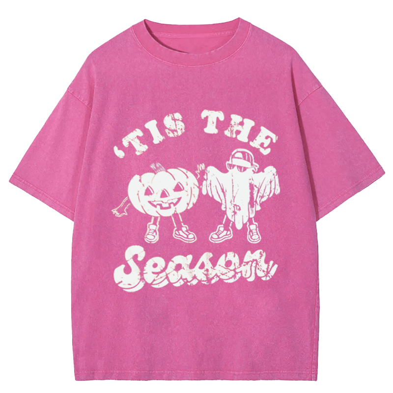 Maturelion Halloween Is The Season Washed T-Shirt