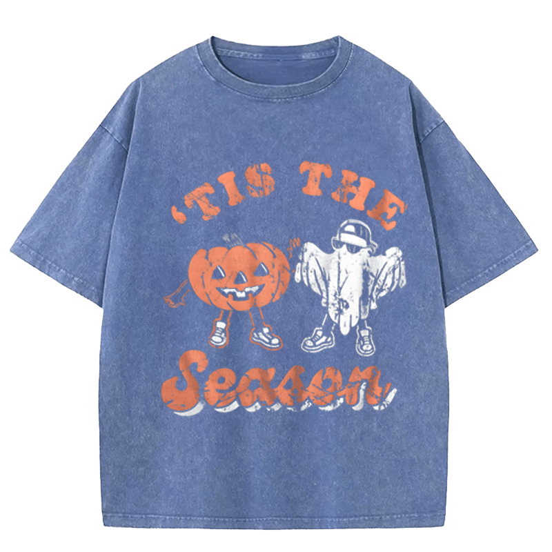 Maturelion Halloween Is The Season Washed T-Shirt