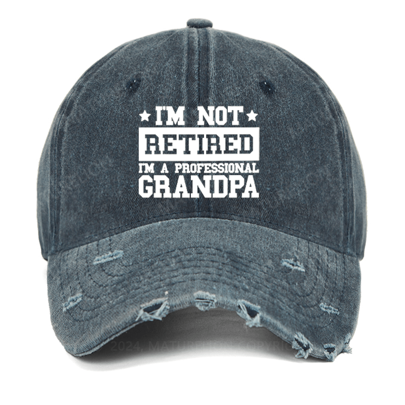 Maturelion I'm Not Retired I'm A Professional Grandpa Washed Vintage Cap