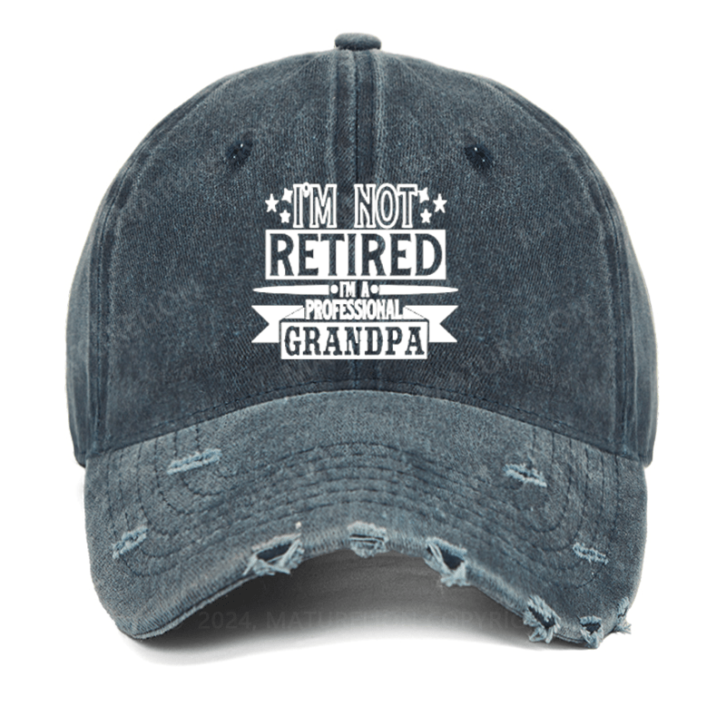 Maturelion I'm Not Retired I'm A Professional Grandpa Washed Vintage Cap