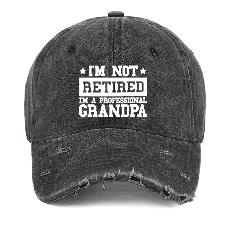 Maturelion I'm Not Retired I'm A Professional Grandpa Washed Vintage Cap