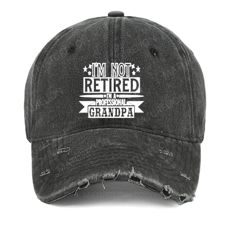 Maturelion I'm Not Retired I'm A Professional Grandpa Washed Vintage Cap