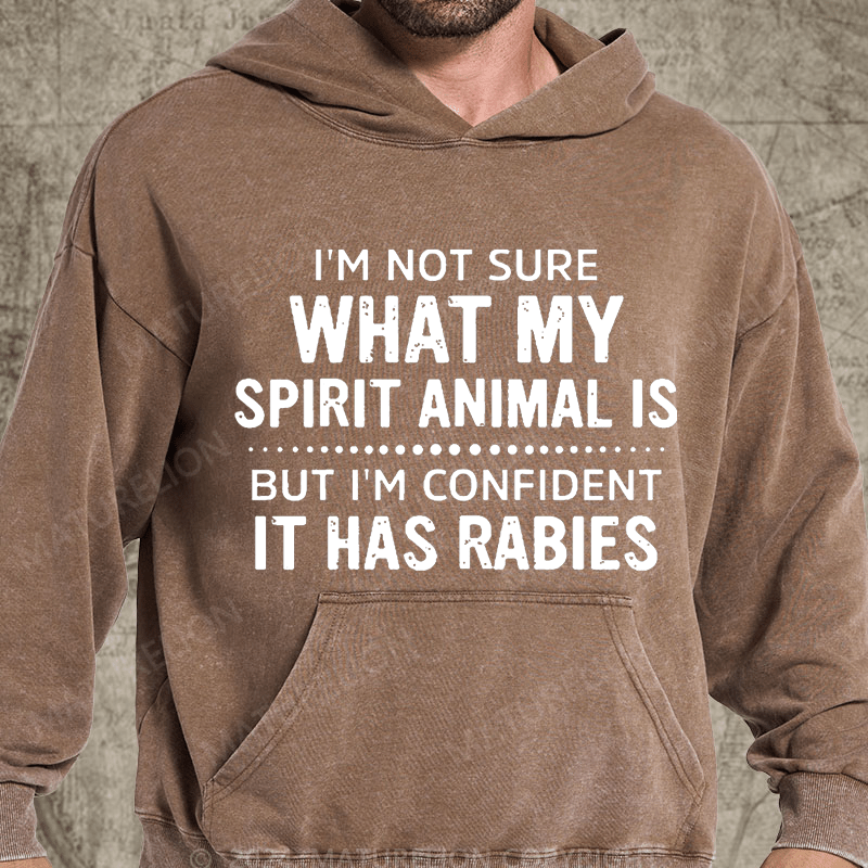 Maturelion I'm Not Sure What My Spirit Animal Is But I'm Confident It Has Rabies Vintage Washed Hoodie