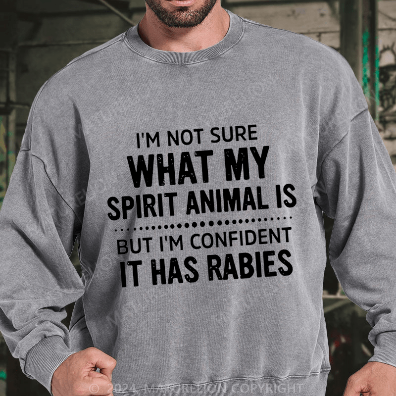 Maturelion I'm Not Sure What My Spirit Animal Is But I'm Confident It Has Rabies DTG Printing Washed sweatshirt