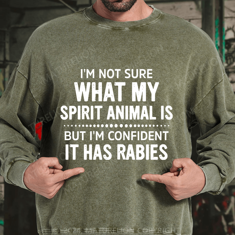 Maturelion I'm Not Sure What My Spirit Animal Is But I'm Confident It Has Rabies DTG Printing Washed sweatshirt