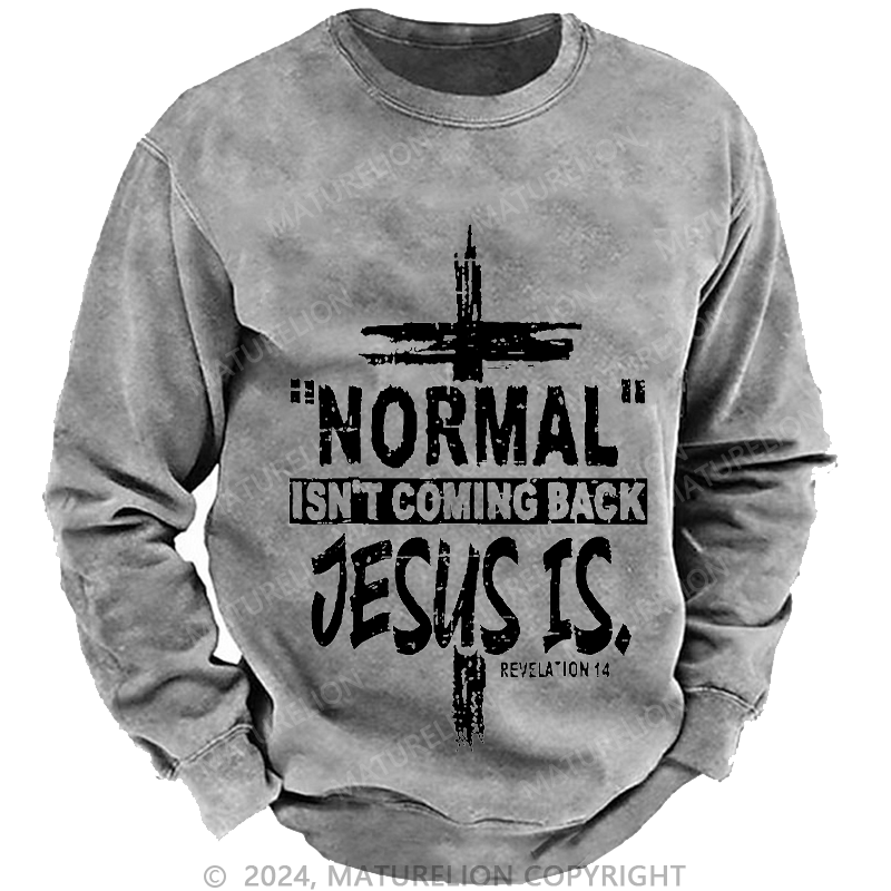 Maturelion Men's Sweatshirt Normal Isn't Coming Back Jesus Is Revelation 14 Christian Custom Sweatshirt