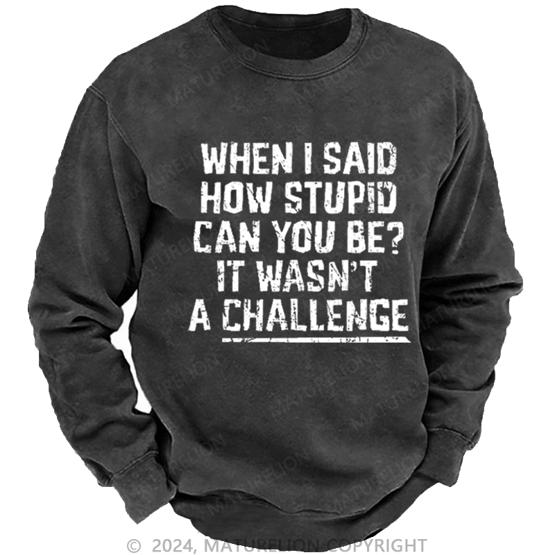 Maturelion Men's Sweatshirt When I Said How Stupid Can You Be It Wasn't A Challenge Custom Sweatshirt