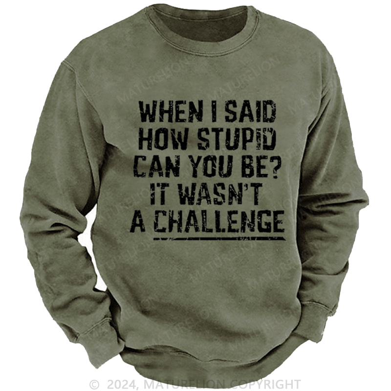 Maturelion Men's Sweatshirt When I Said How Stupid Can You Be It Wasn't A Challenge Custom Sweatshirt