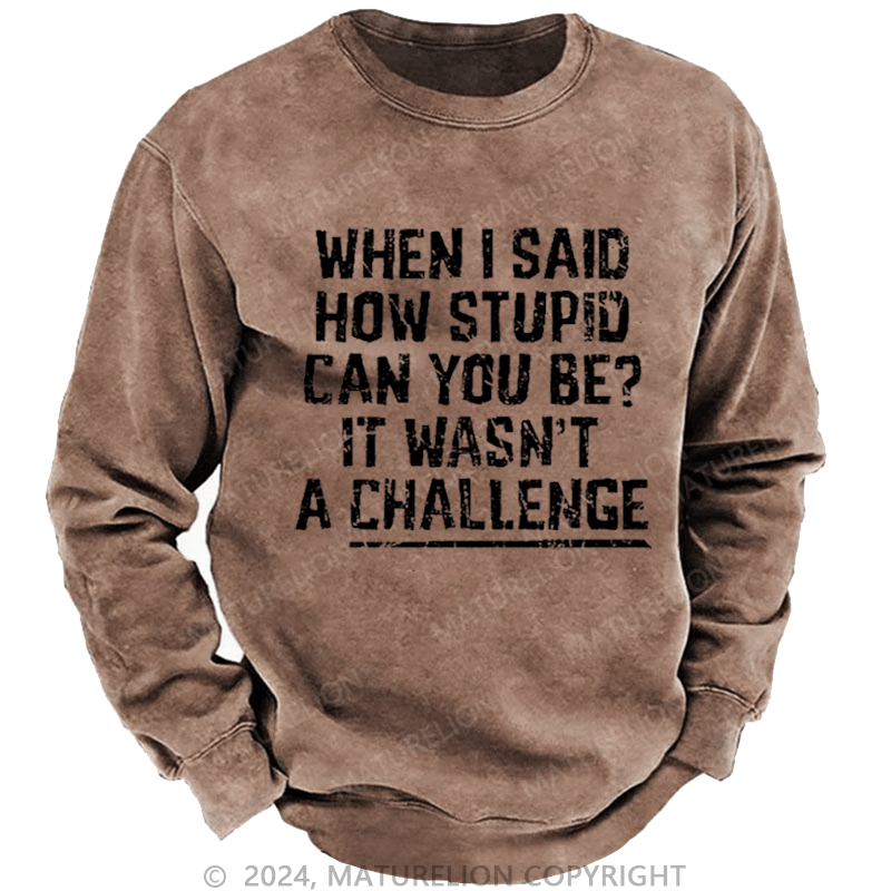 Maturelion Men's Sweatshirt When I Said How Stupid Can You Be It Wasn't A Challenge Custom Sweatshirt