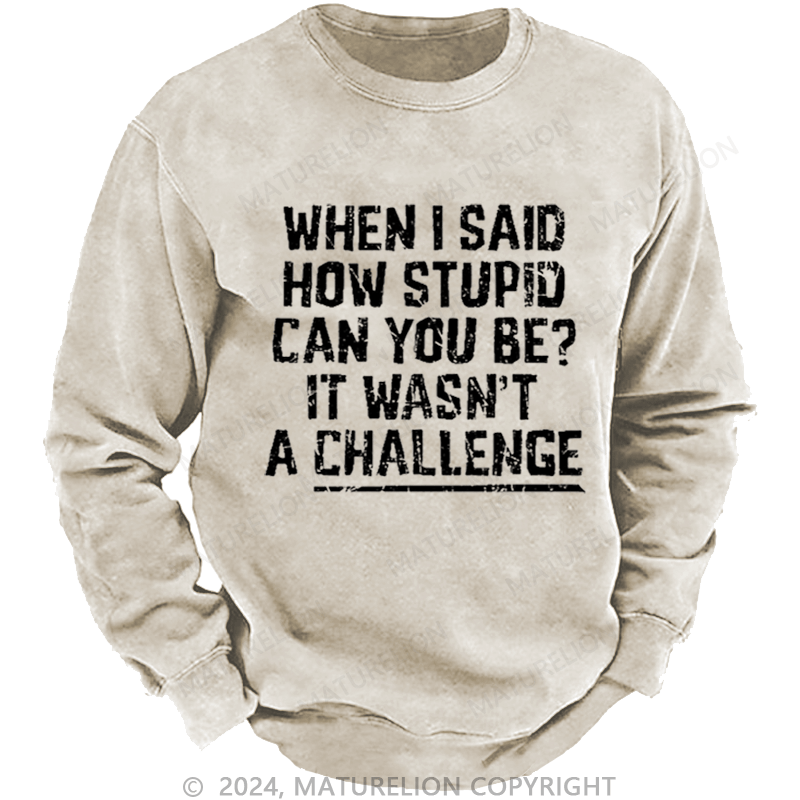 Maturelion Men's Sweatshirt When I Said How Stupid Can You Be It Wasn't A Challenge Custom Sweatshirt