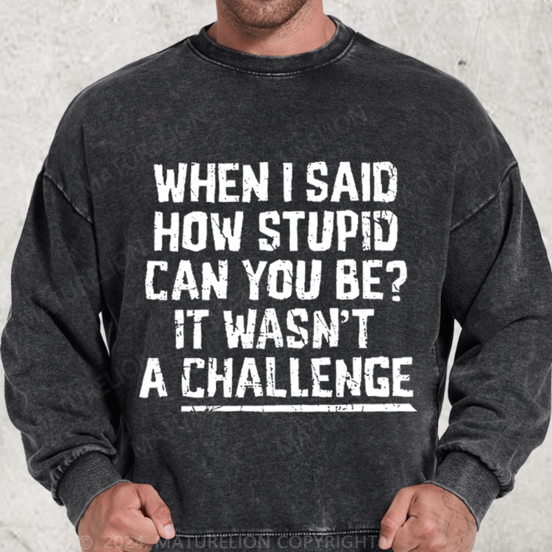 Maturelion When I Said How Stupid Can You Be It Wasn't A Challenge Washed Sweatshirt