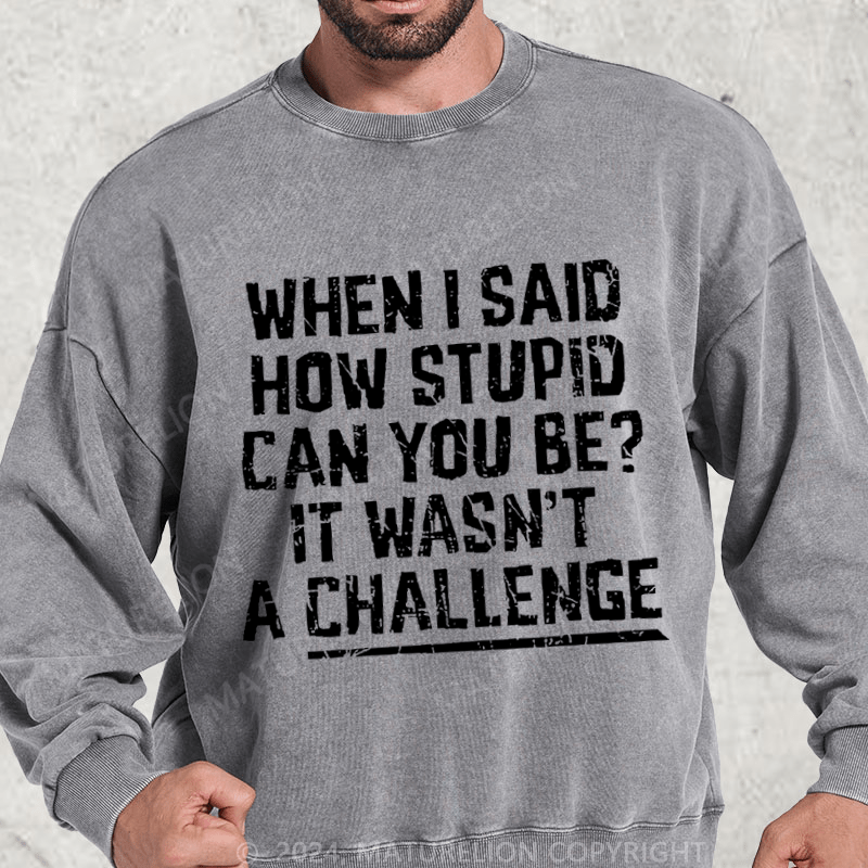 Maturelion When I Said How Stupid Can You Be It Wasn't A Challenge Washed Sweatshirt