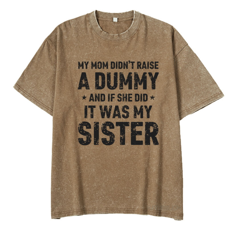 MATURELION MY MOM DIDN'T RAISE A DUMMY  AND IF SHE DID  IT WAS MY SISTER DTG PRINTING WASHED COTTON T-SHIRT